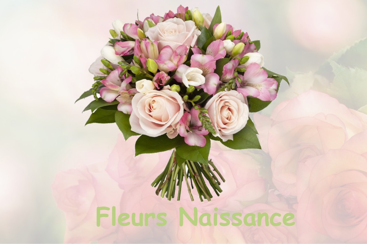 fleurs naissance L-ISLE-DE-NOE